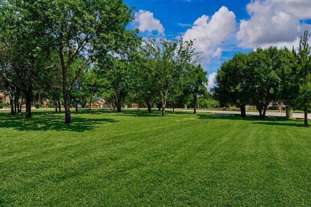 0.52 acres in Hood County gallery image 4