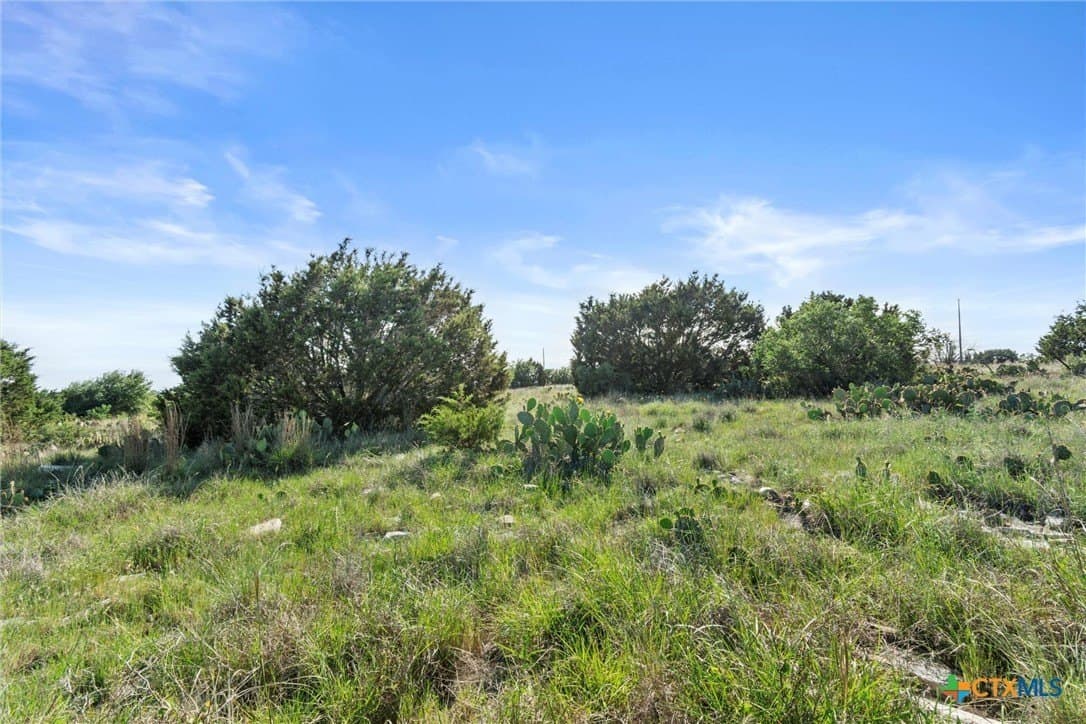 10 acres in Texas County featured view