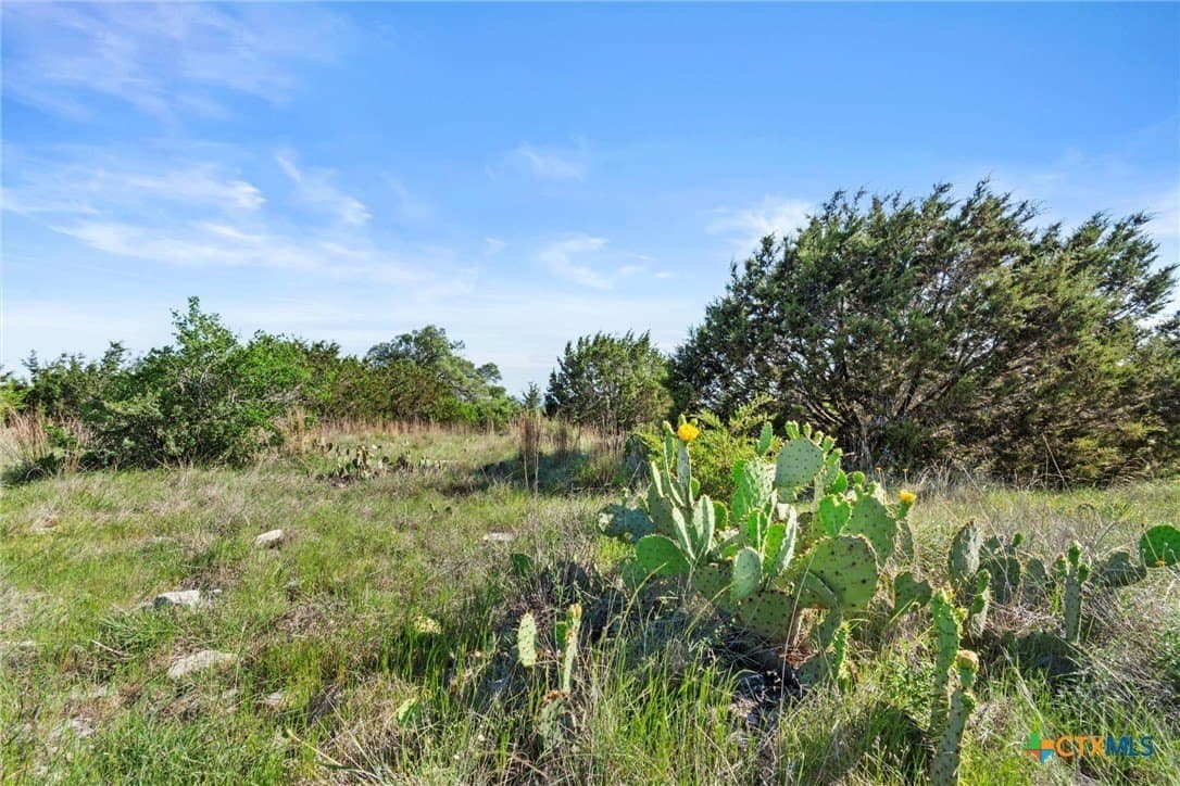 10 acres in Texas County gallery image 3