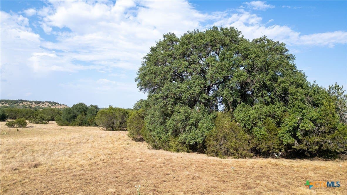 49.62 acres in Lampasas County - photo 2