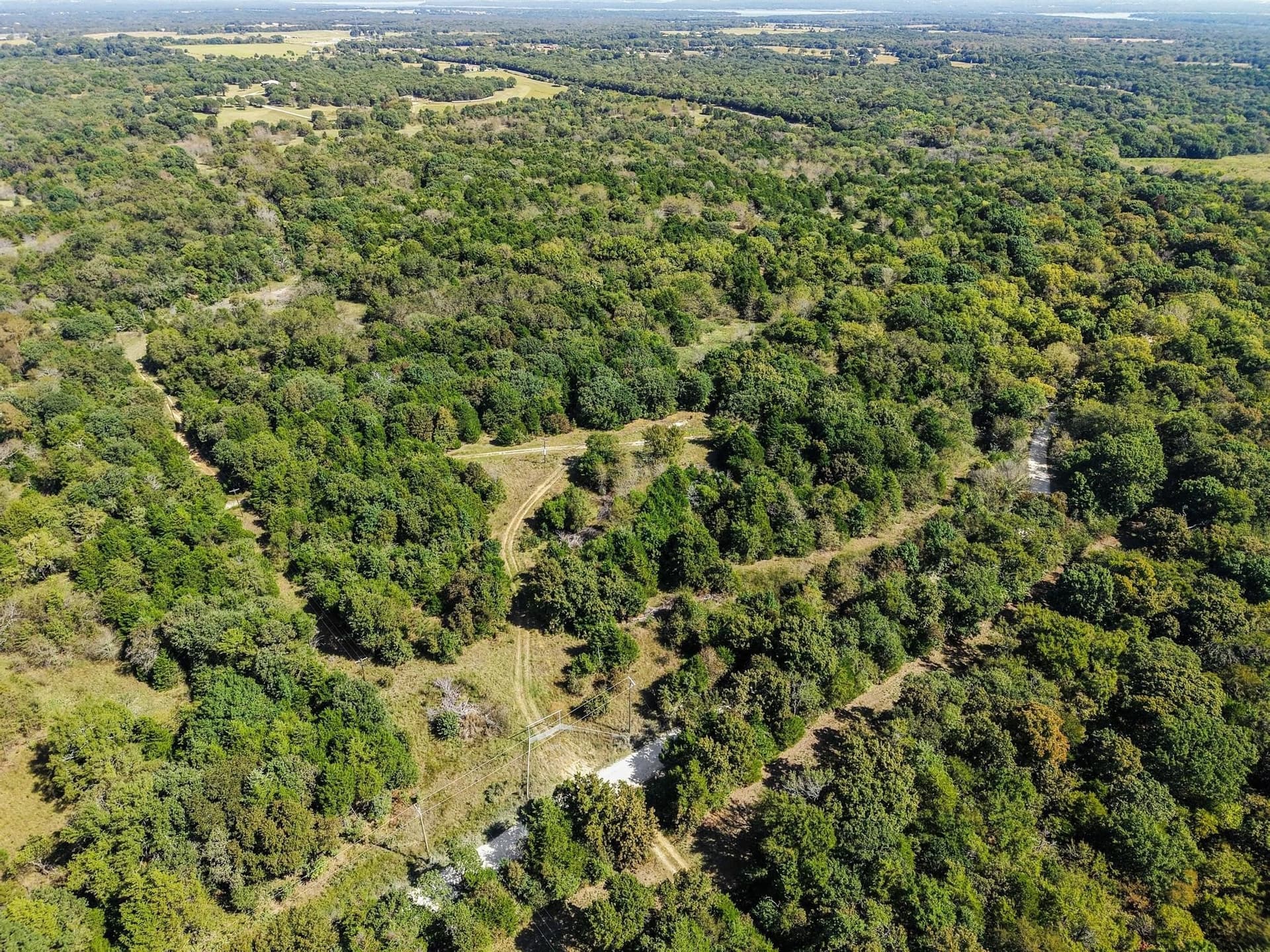 11 acres in Grayson County gallery image 4