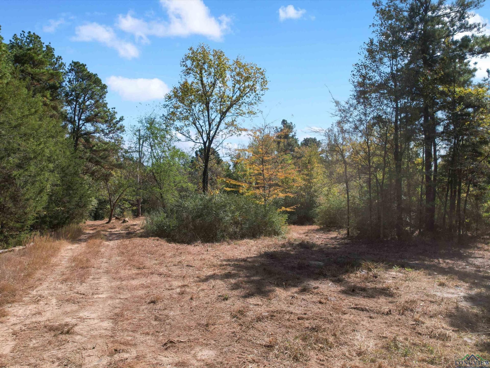 12.8 acres in Upshur County gallery image 4