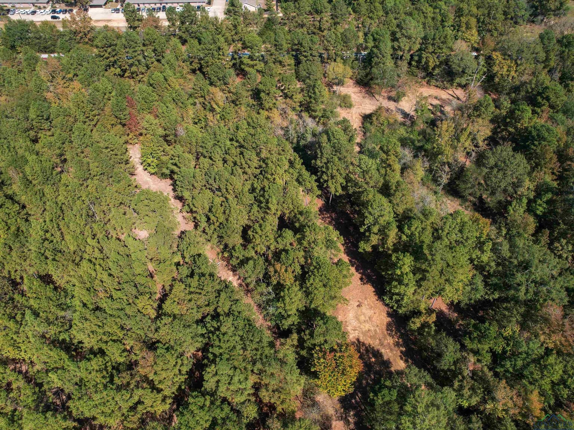 12.8 acres in Upshur County gallery image 3