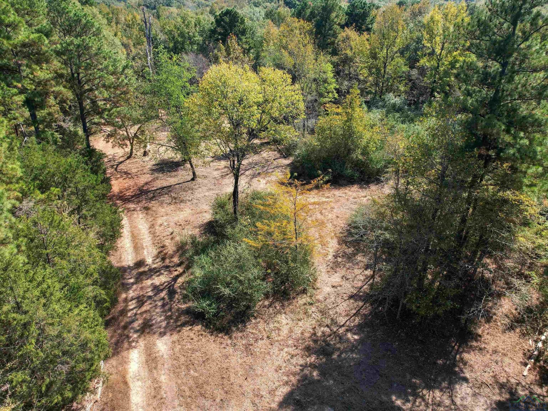 12.8 acres in Upshur County featured view