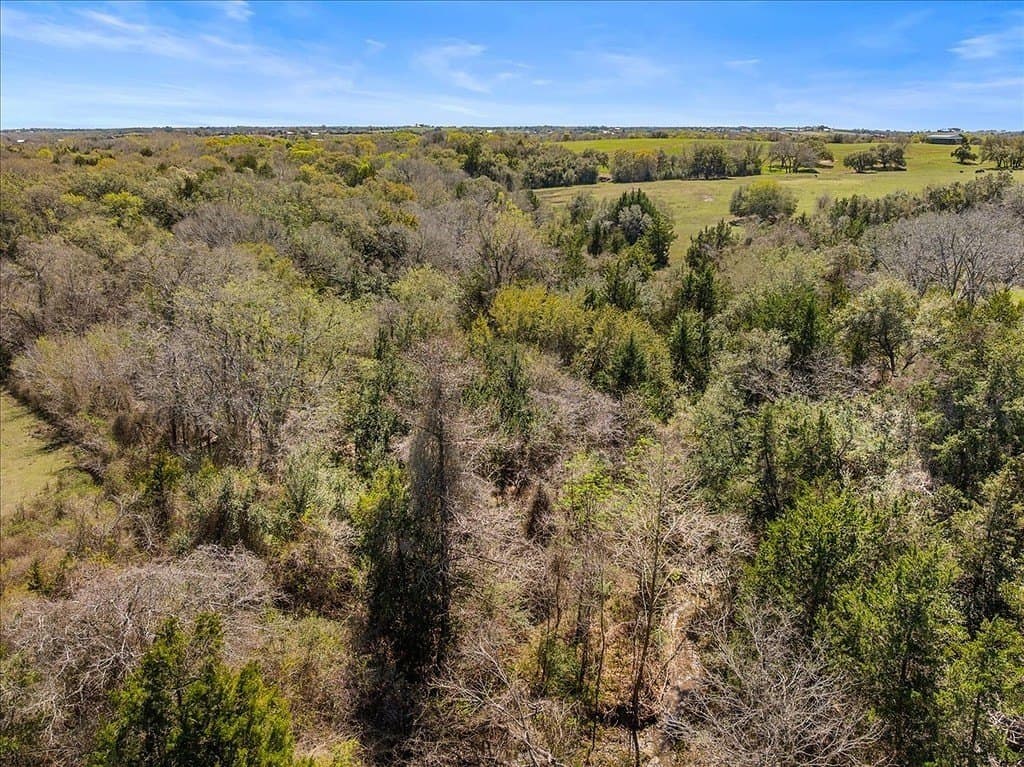 29.86 acres in Austin County - photo 11