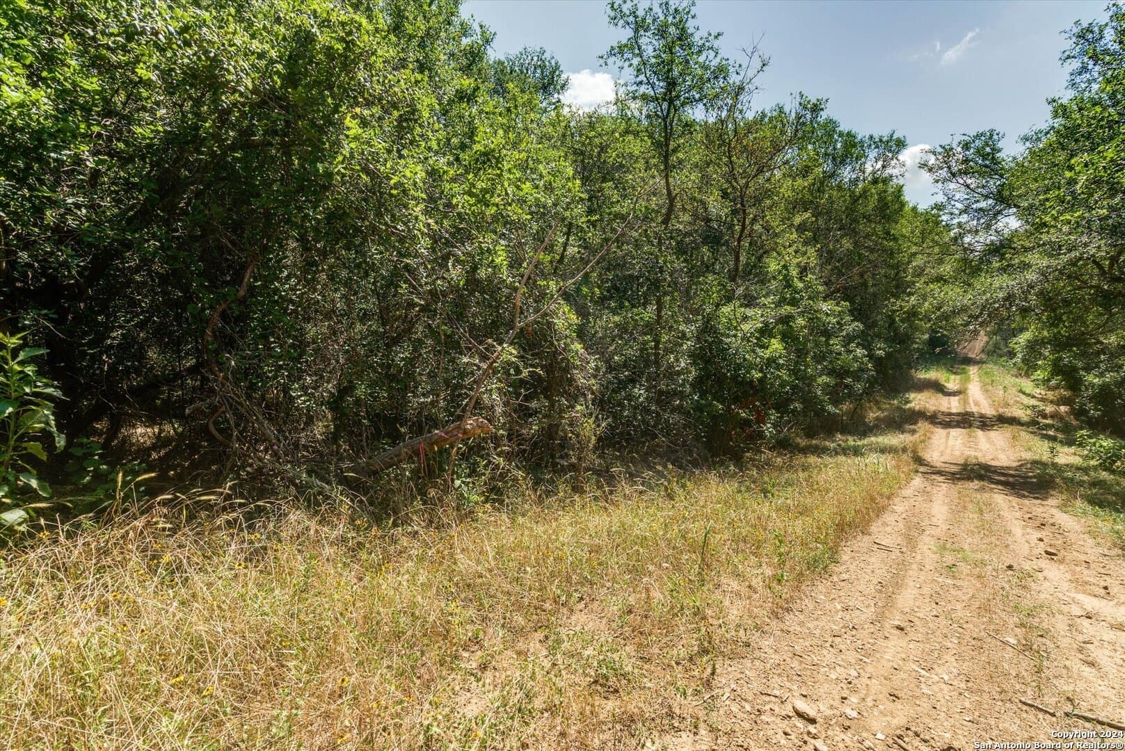 0.73 acres in Bastrop County - photo 8