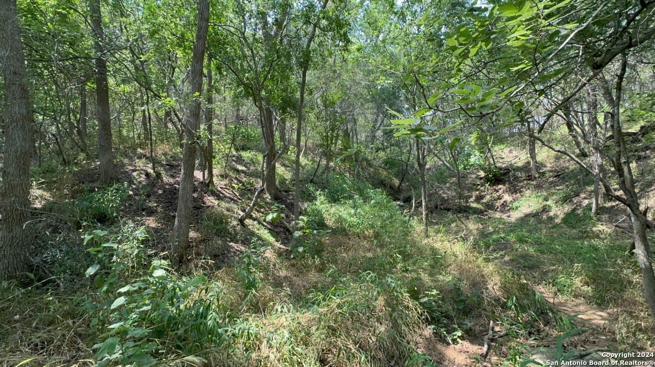 0.73 acres in Bastrop County - photo 6