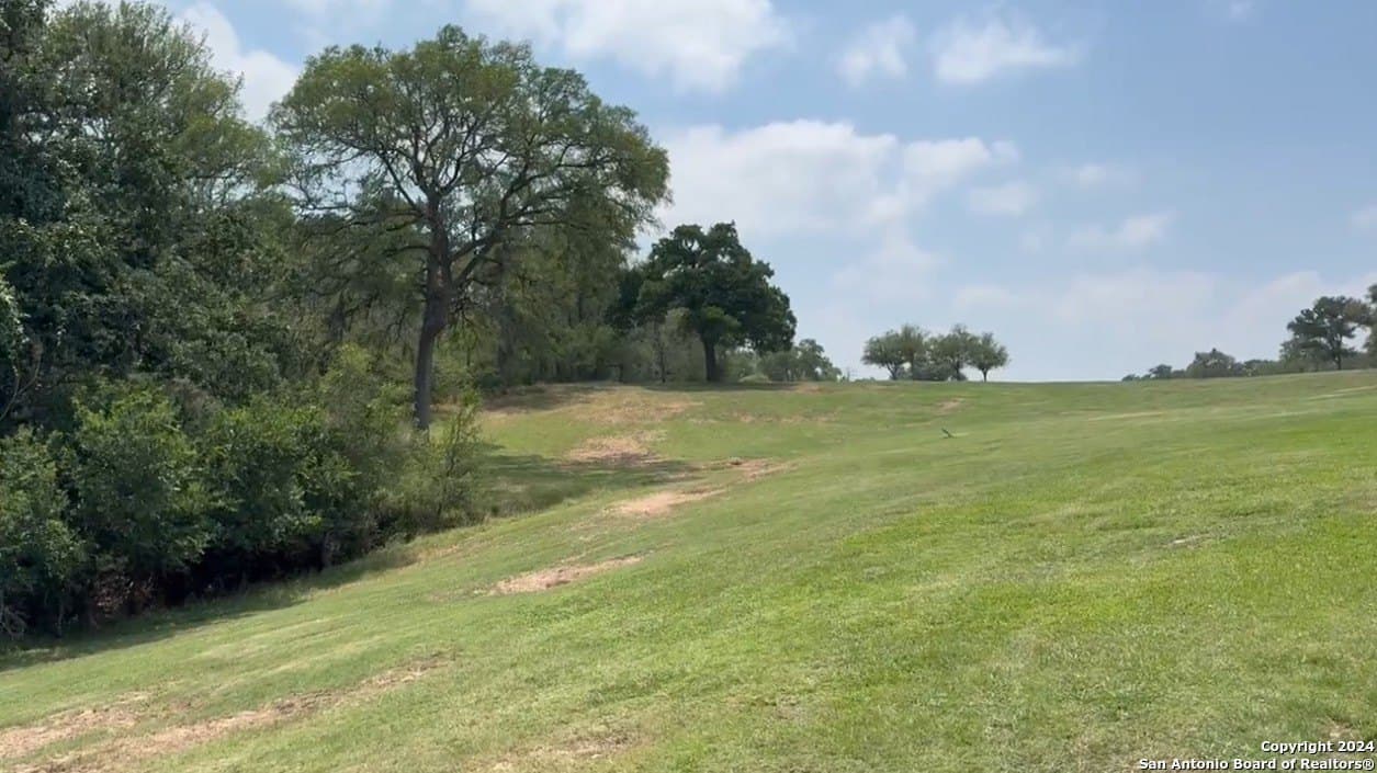 0.73 acres in Bastrop County gallery image 3