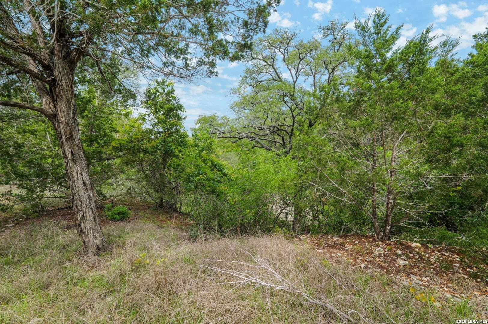 5.05 acres in Medina County - photo 8