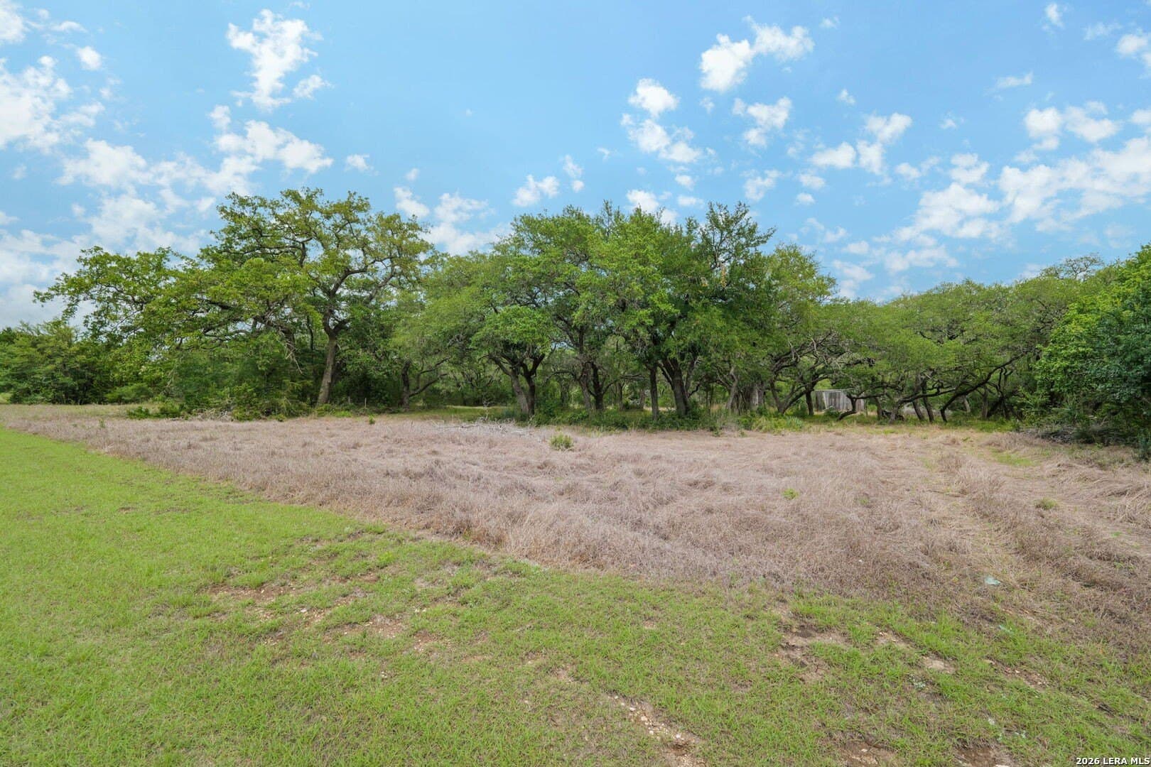 5.05 acres in Medina County gallery image 2