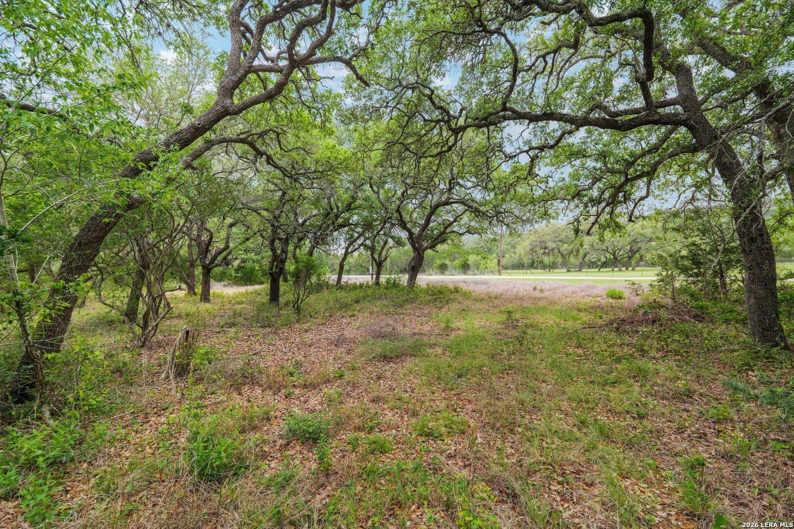 5.05 acres in Medina County - photo 9