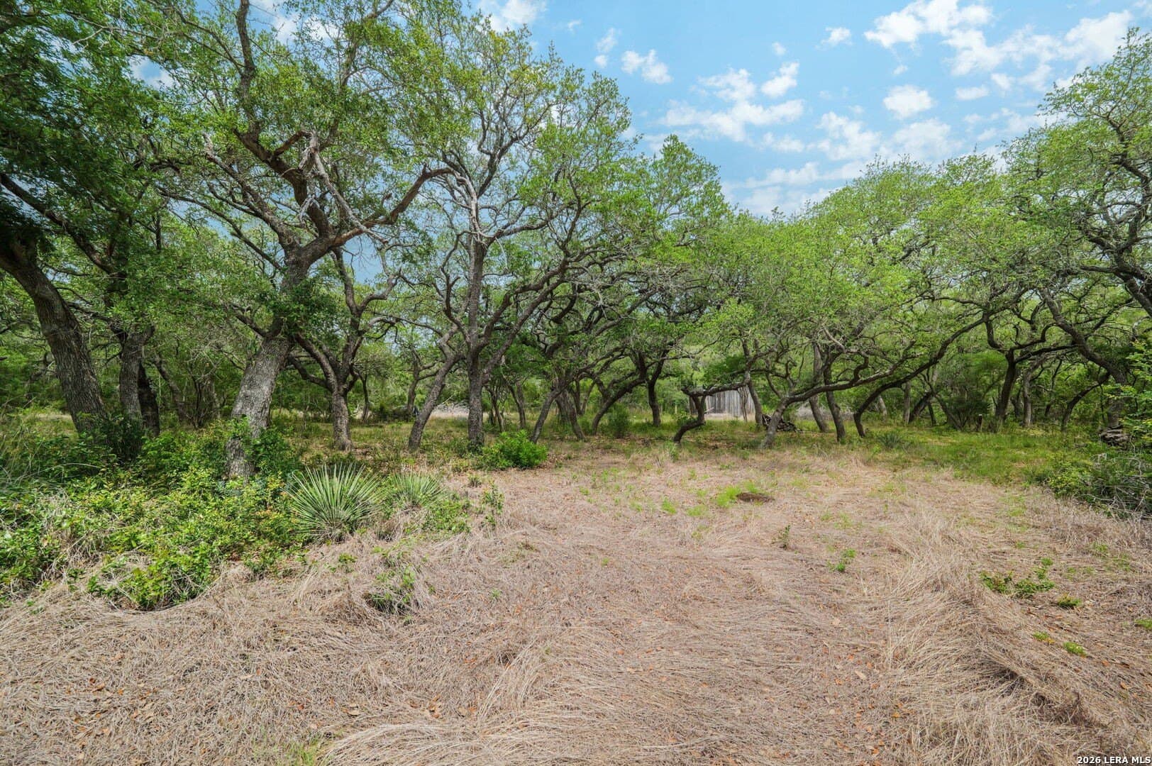 5.05 acres in Medina County - photo 6