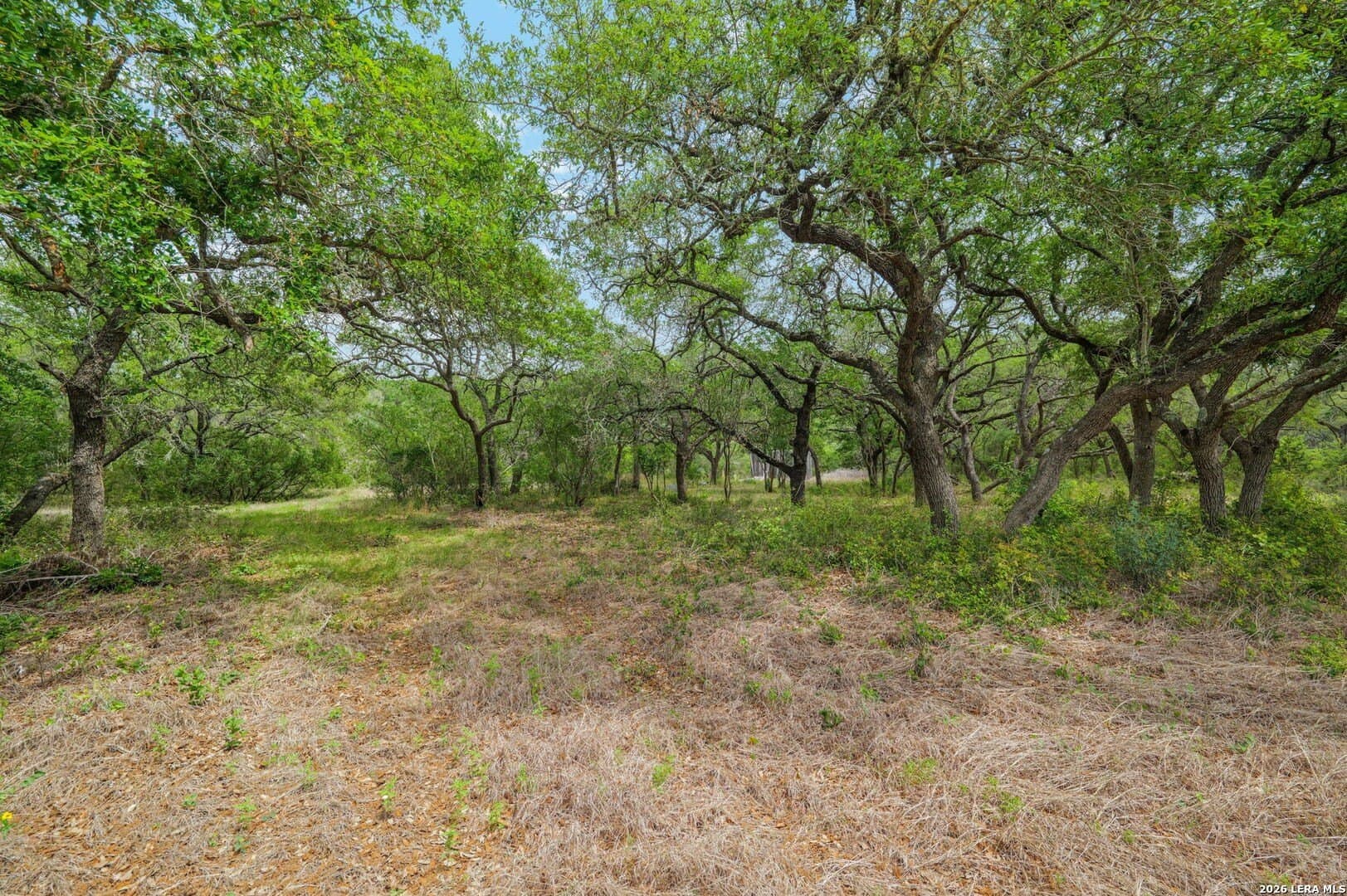 5.05 acres in Medina County - photo 10