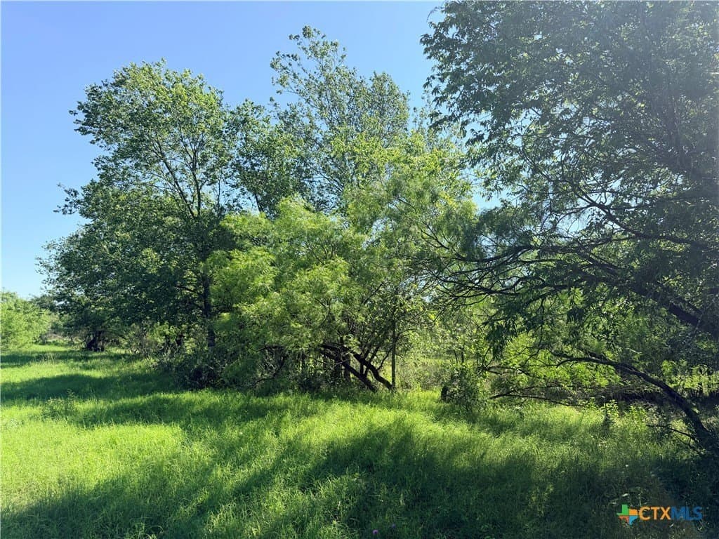 13.67 acres in Caldwell County featured view