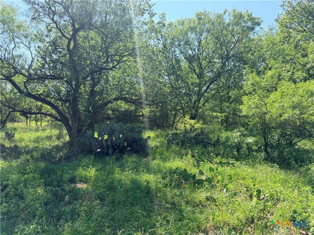 13.67 acres in Caldwell County - photo 11