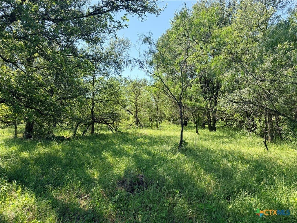 13.67 acres in Caldwell County gallery image 3