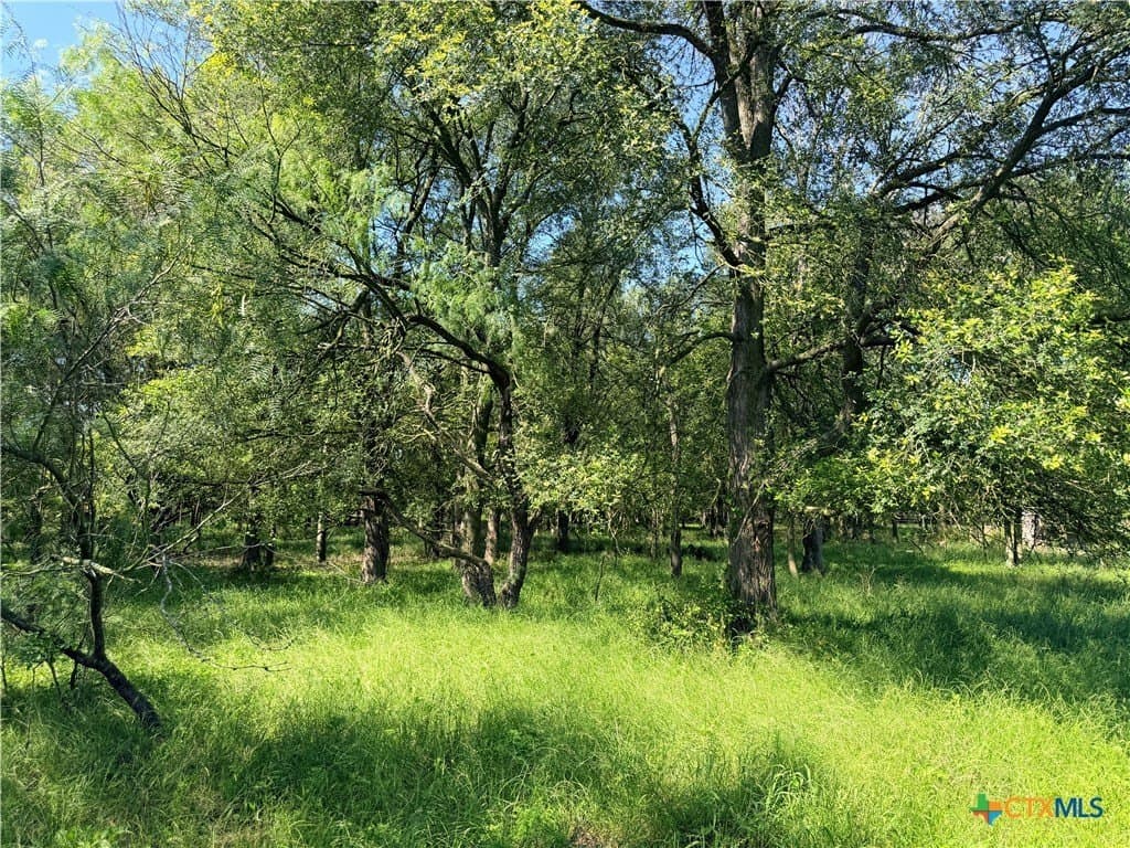 13.67 acres in Caldwell County - photo 8