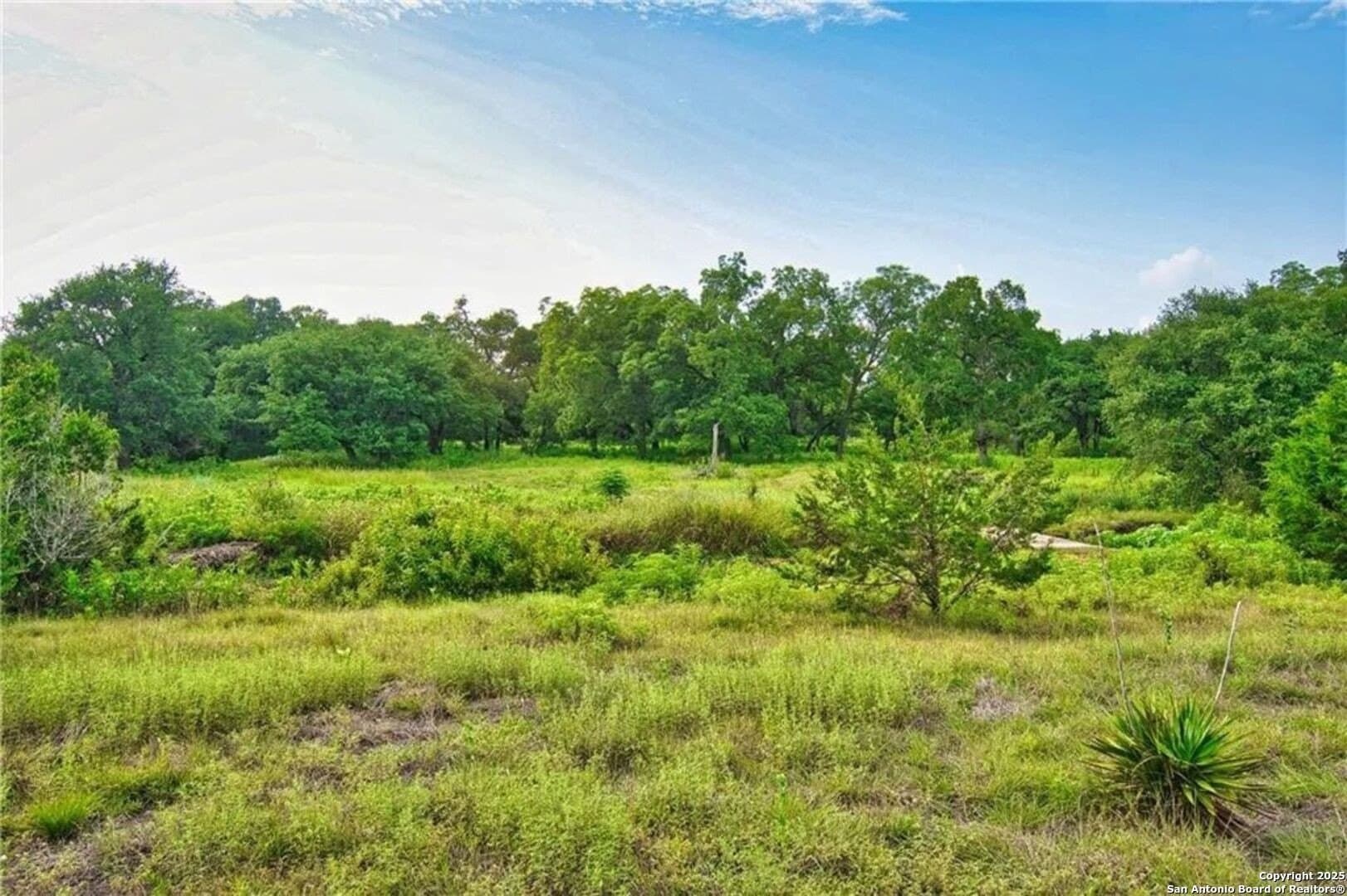 20 acres in Williamson County gallery image 4