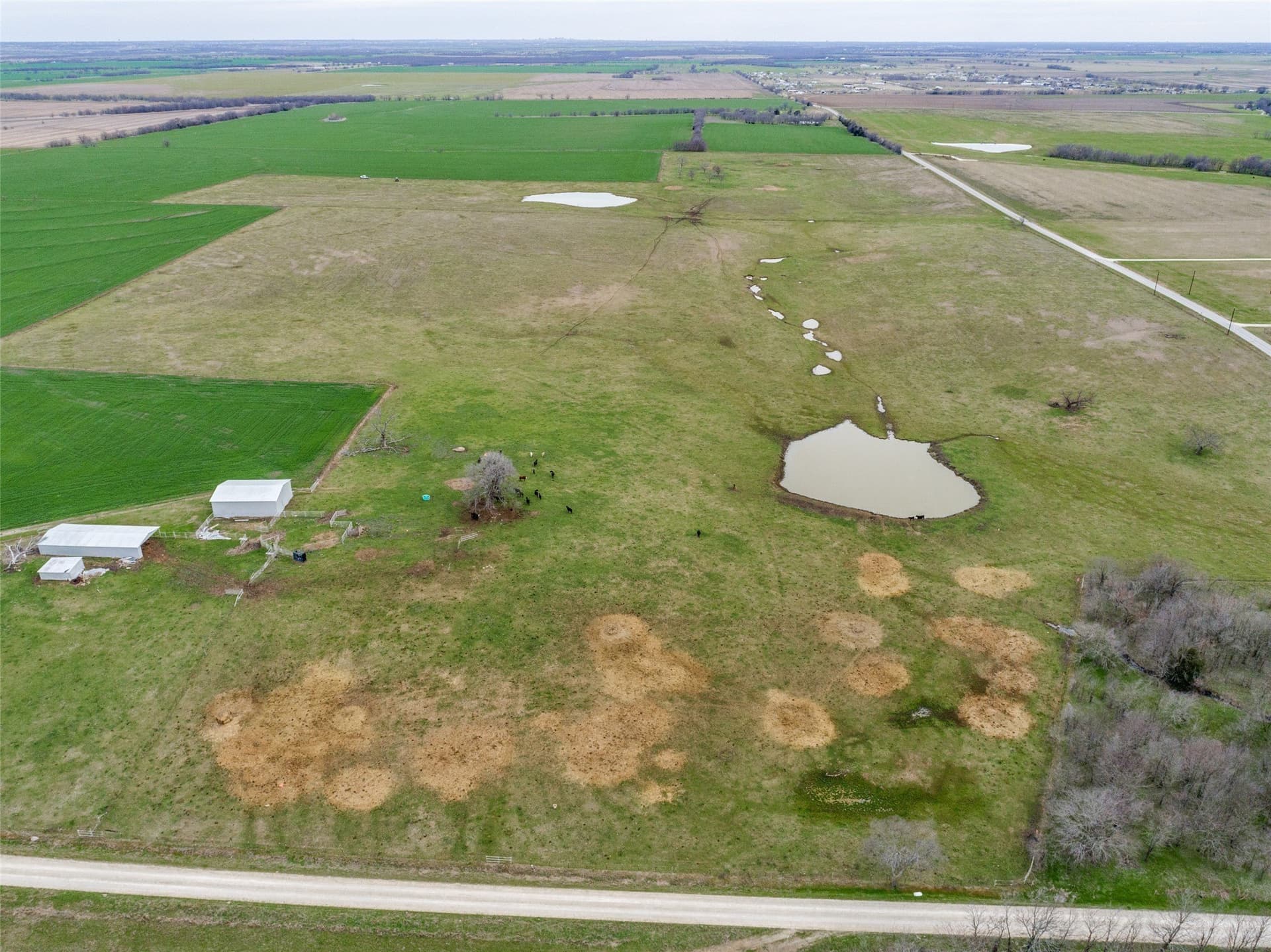 2.51 acres in Grayson County gallery image 4
