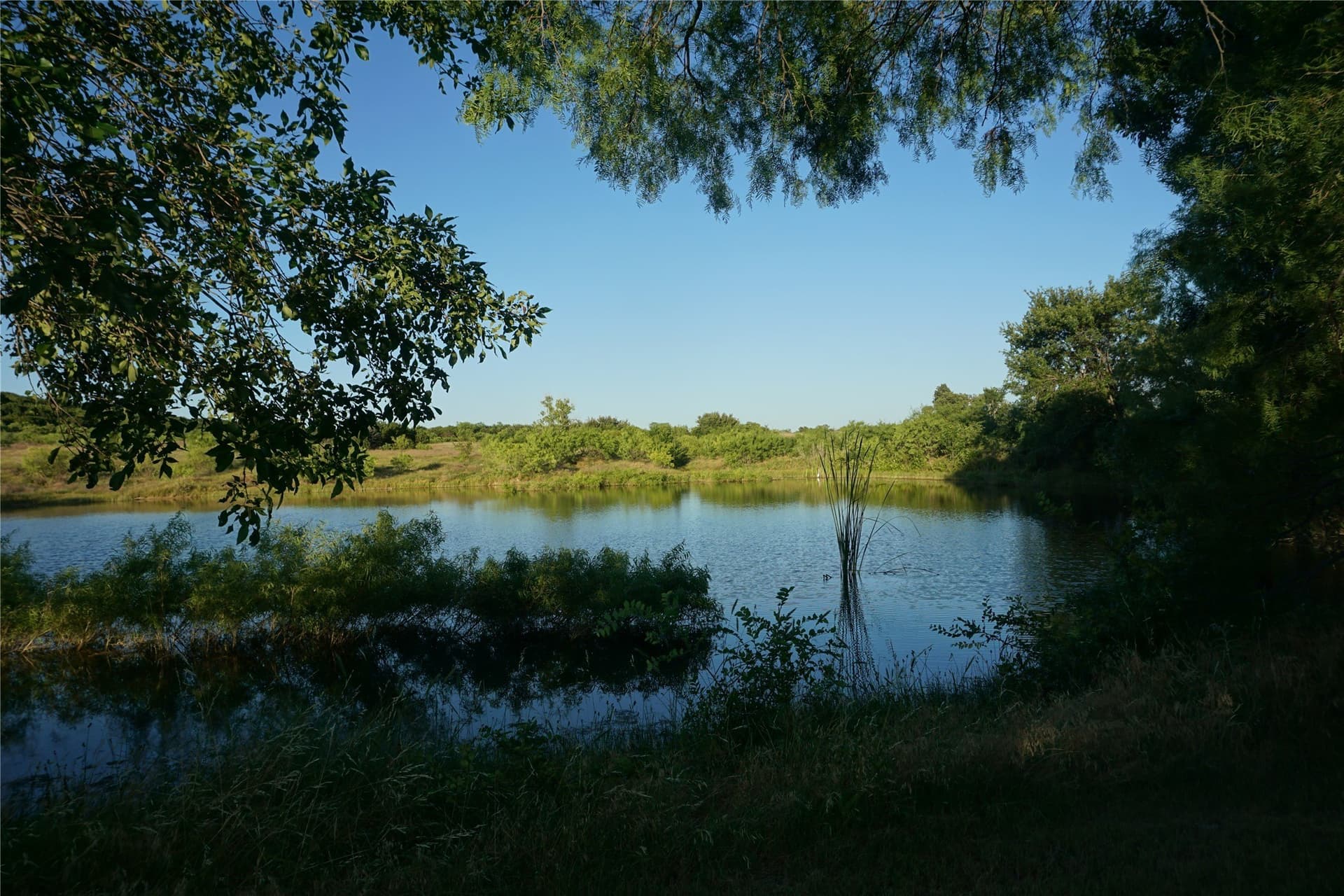 10.02 acres in Palo Pinto County - photo 24