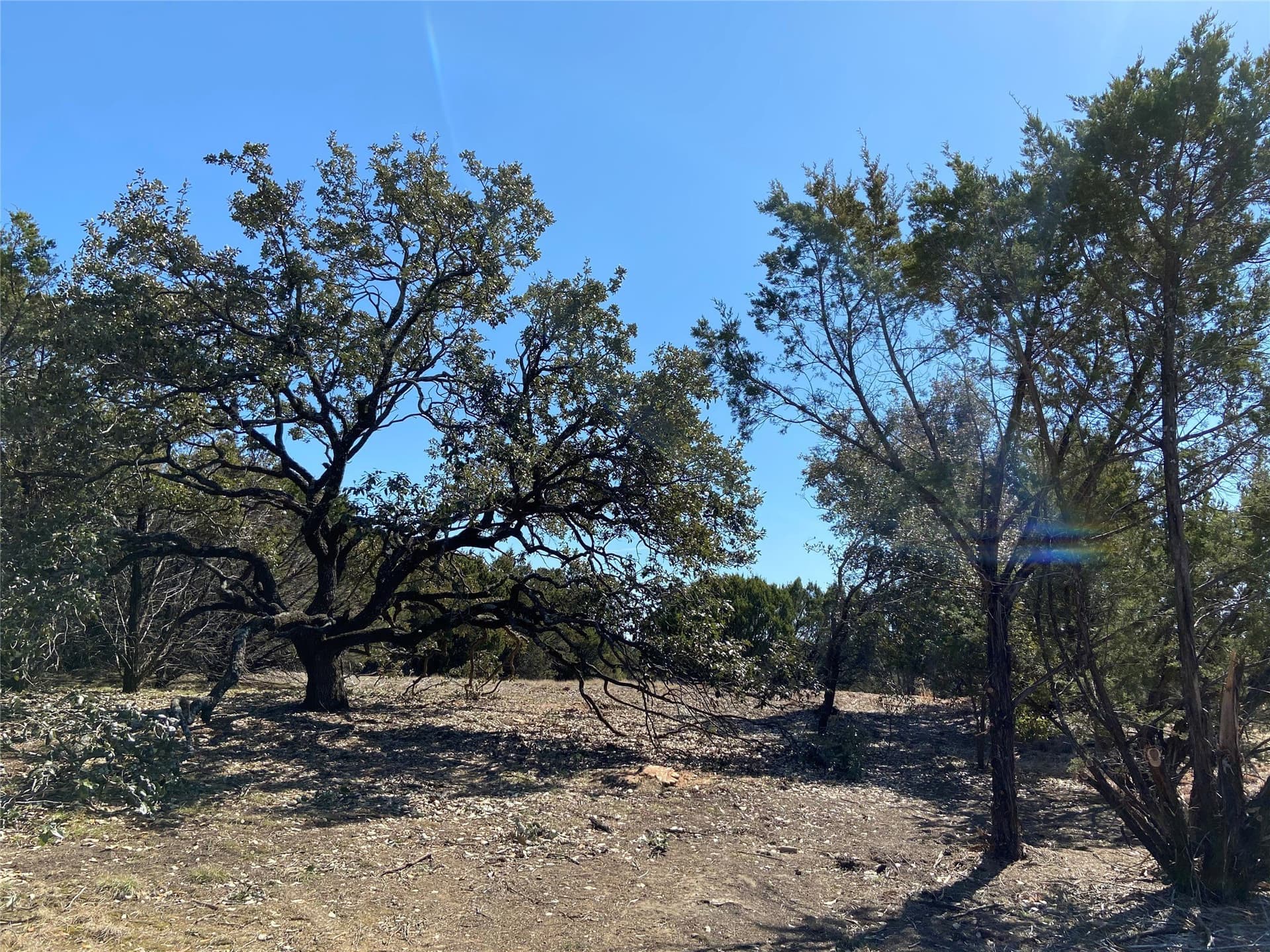 10.02 acres in Palo Pinto County - photo 28