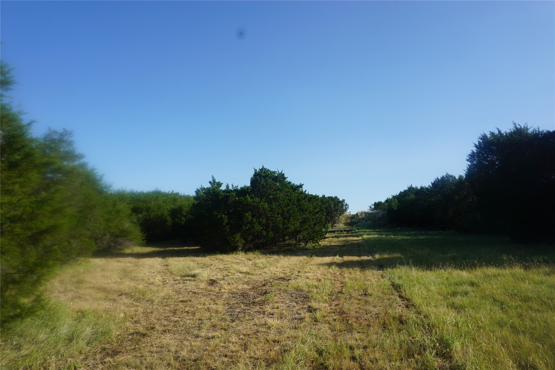 10.02 acres in Palo Pinto County - photo 6