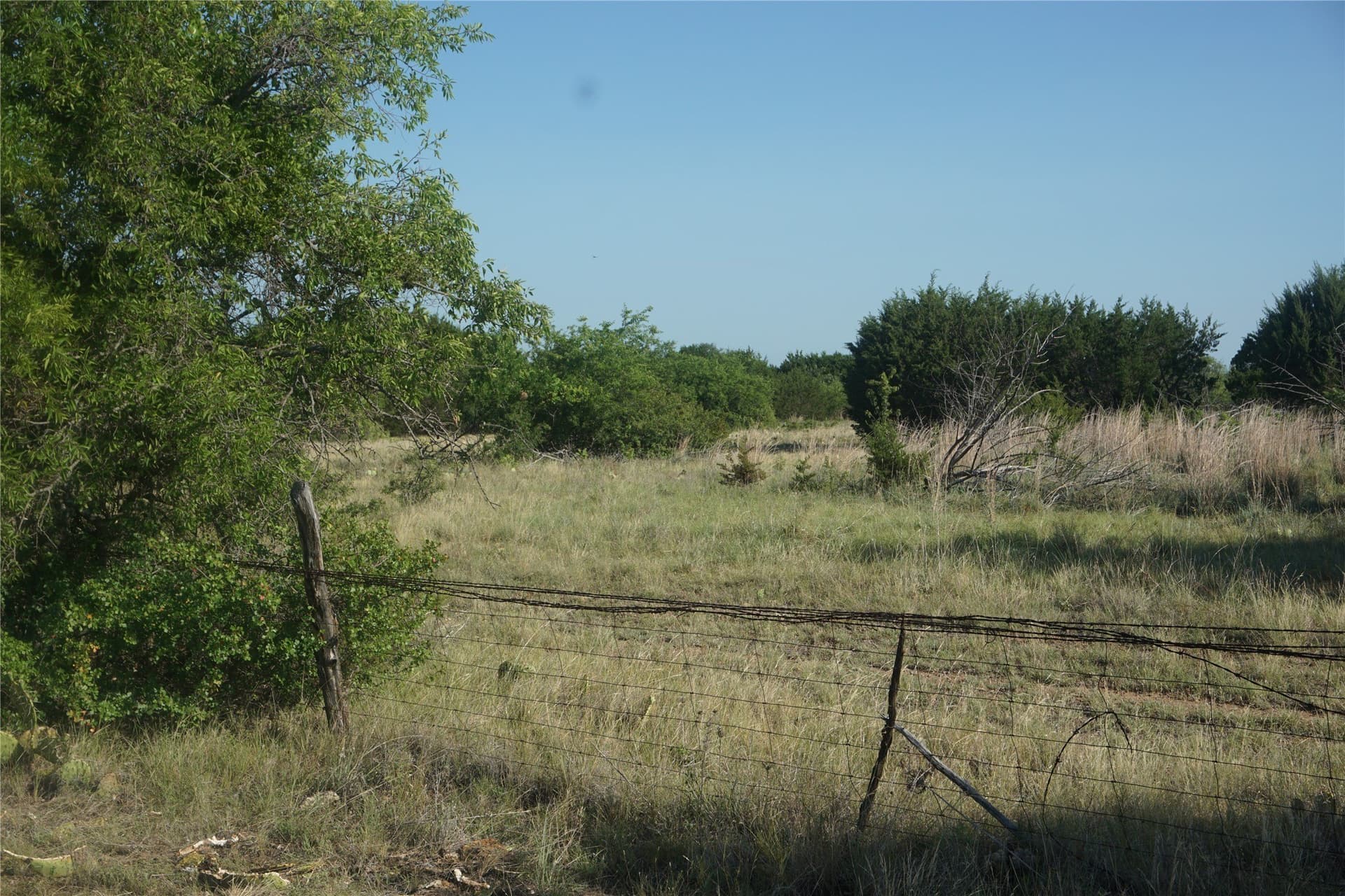 10.02 acres in Palo Pinto County - photo 9