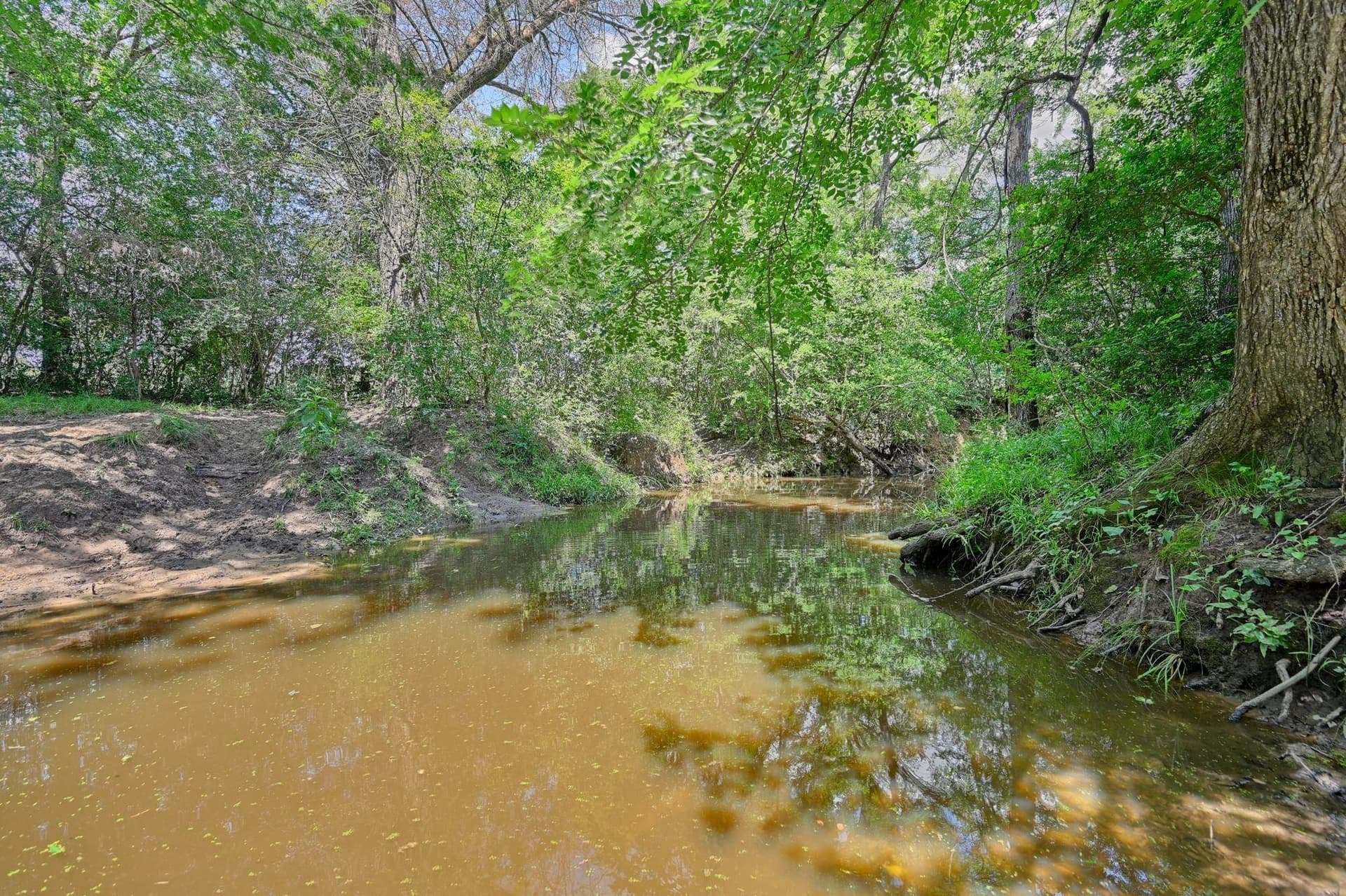 85.31 acres in Out of Area County - photo 24