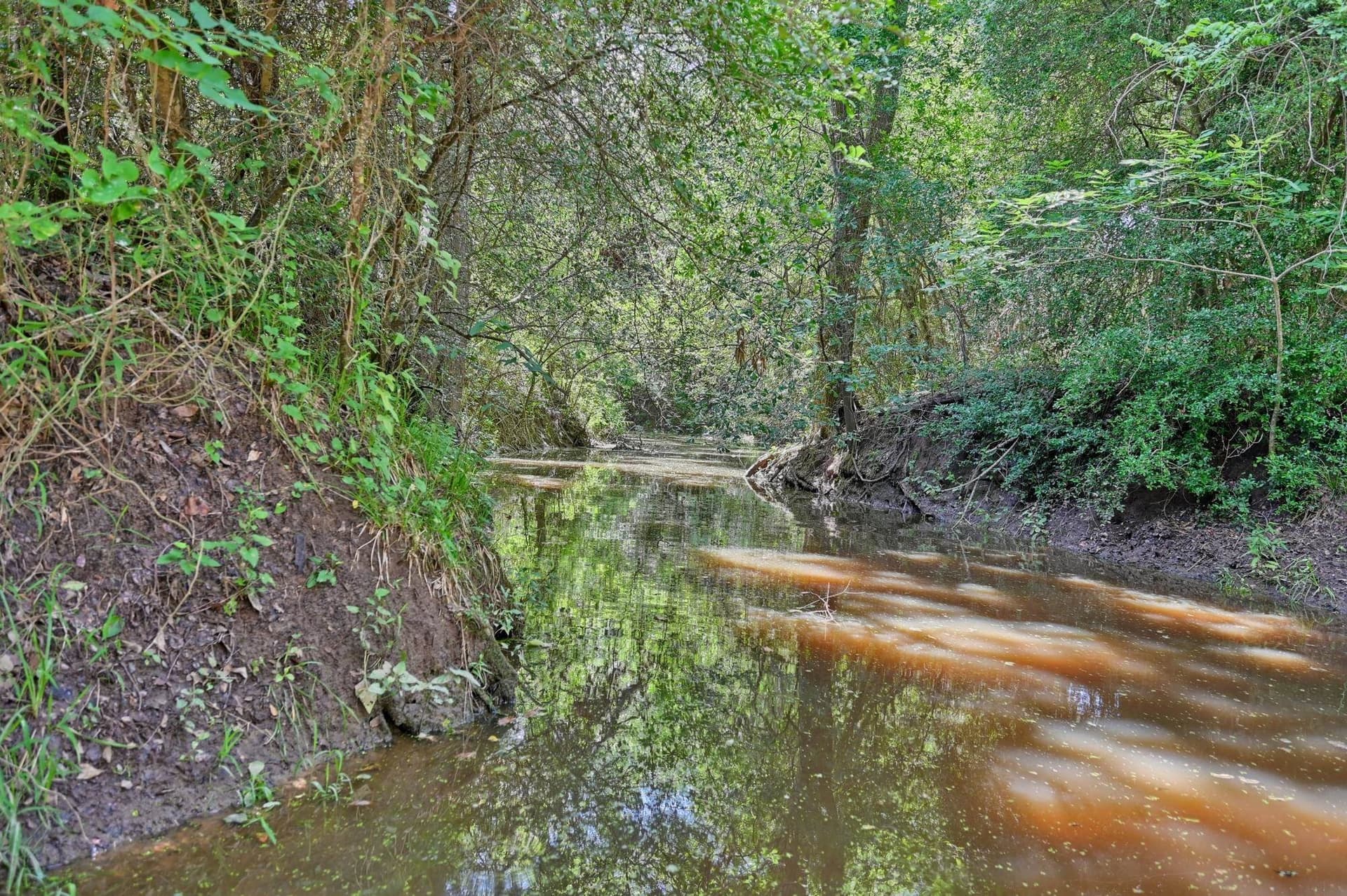 85.31 acres in Out of Area County - photo 23