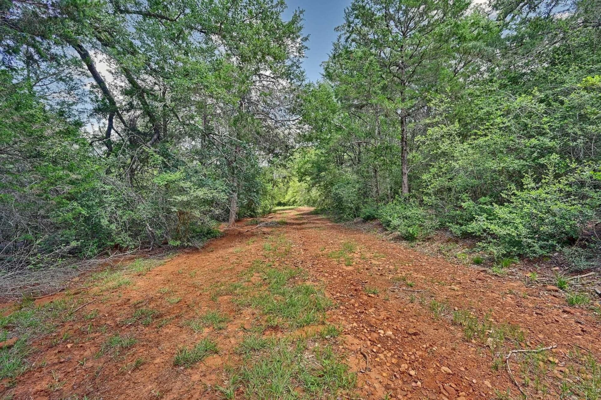 85.31 acres in Out of Area County - photo 26