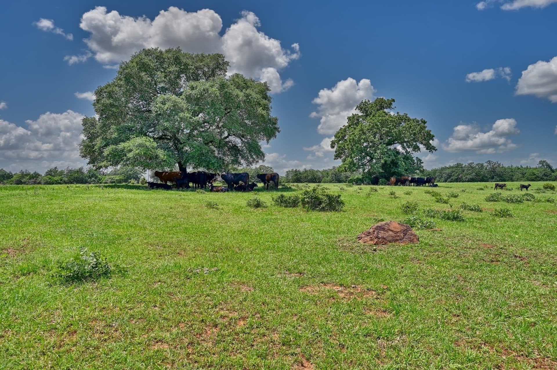 85.31 acres in Out of Area County - photo 29
