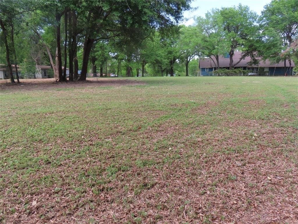 0.6 acres in Henderson County gallery image 3