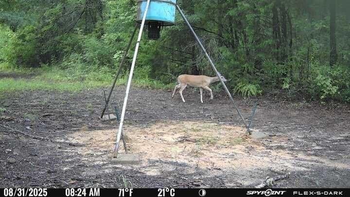 19.85 acres in Van Zandt County gallery image 4
