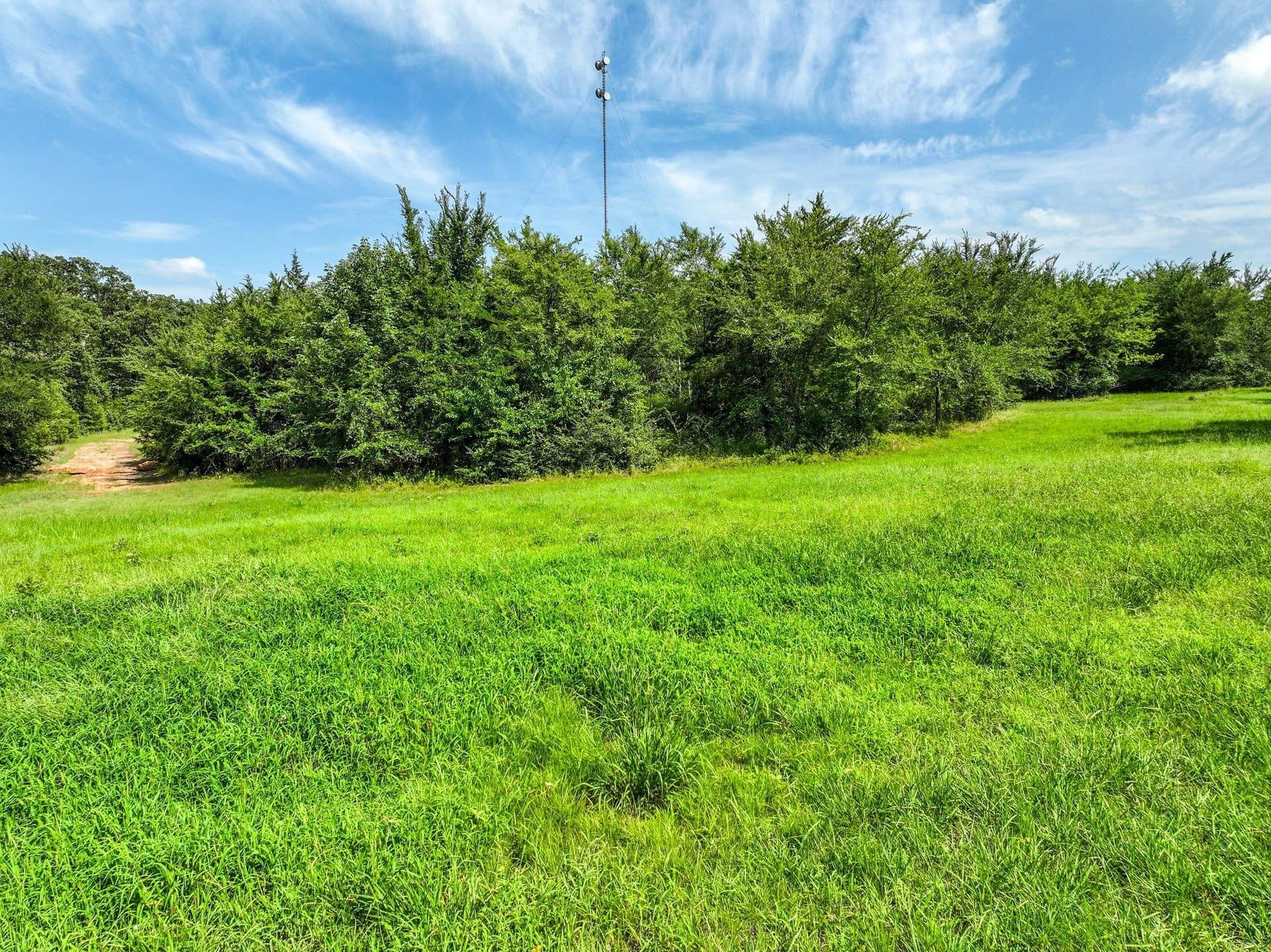 1.01 acres in Hopkins County gallery image 4