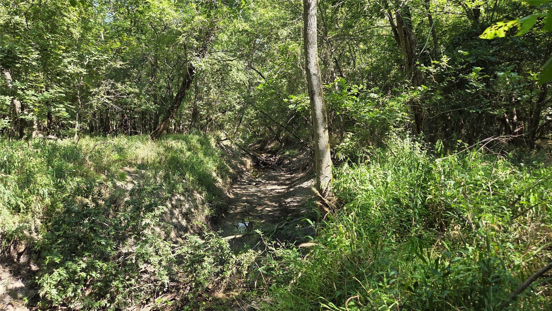 97.17 acres in Hunt County - photo 10