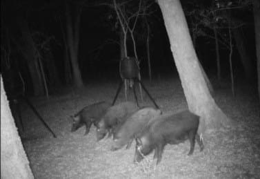 97.17 acres in Hunt County - photo 4