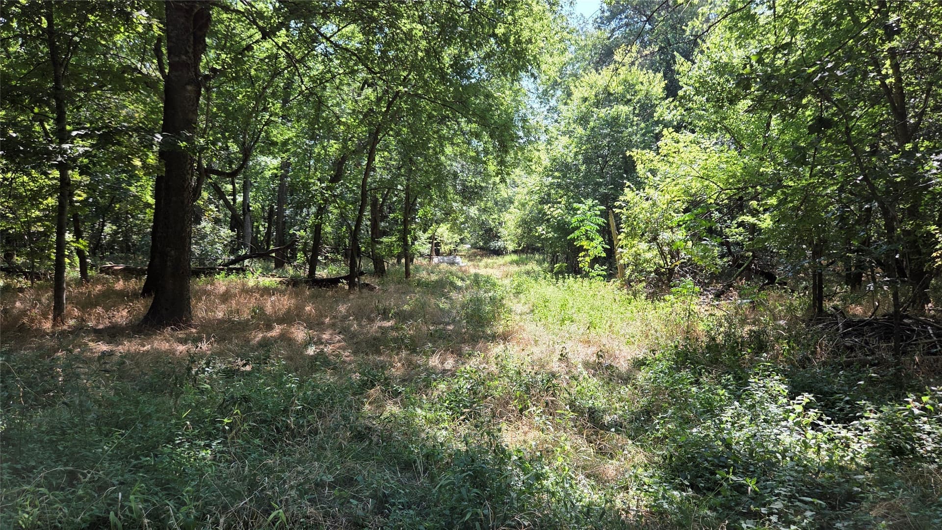 97.17 acres in Hunt County - photo 8