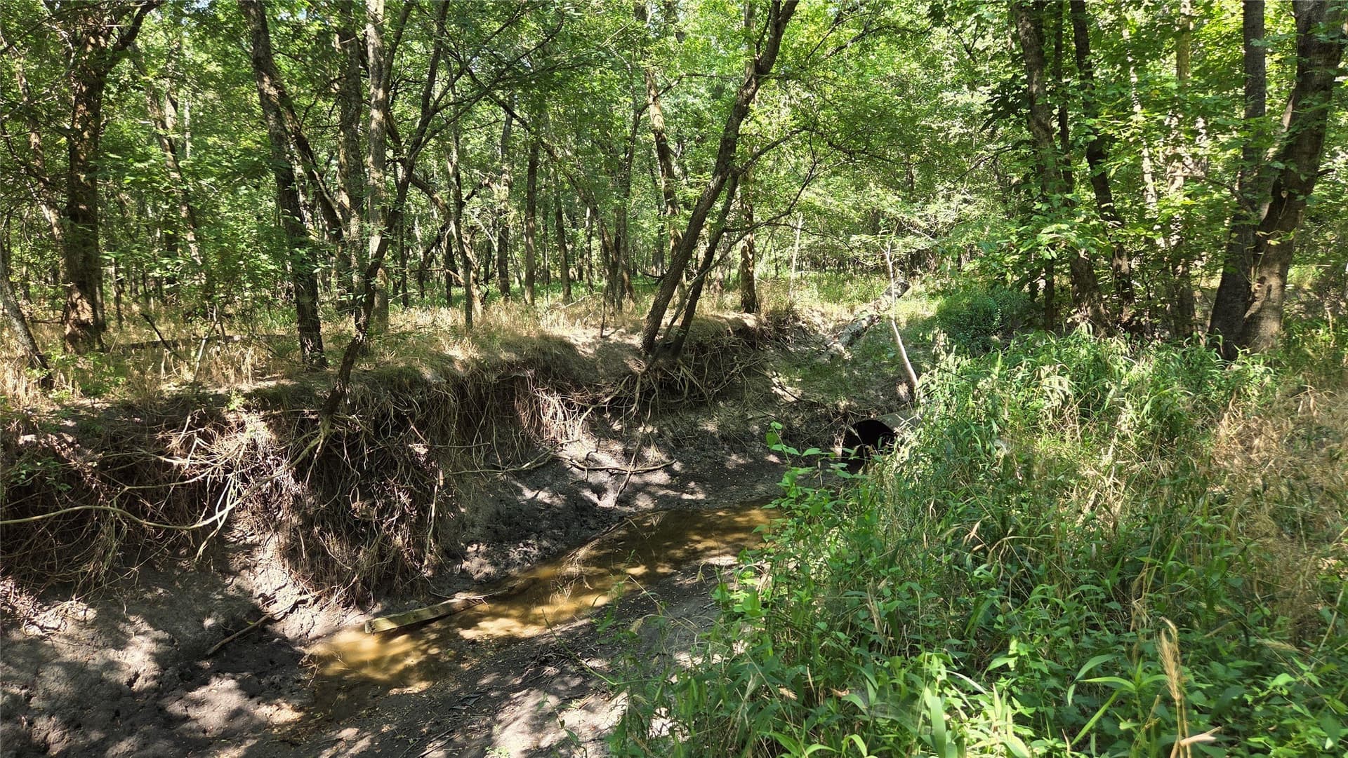 97.17 acres in Hunt County - photo 9