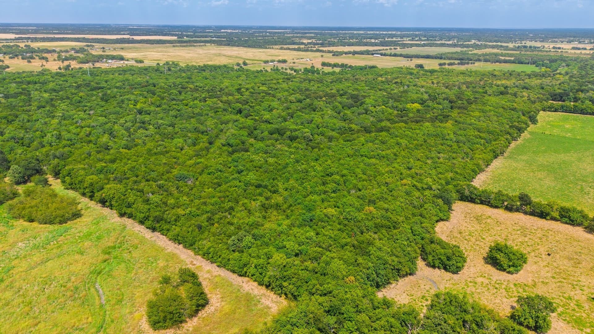 97.17 acres in Hunt County - photo 19
