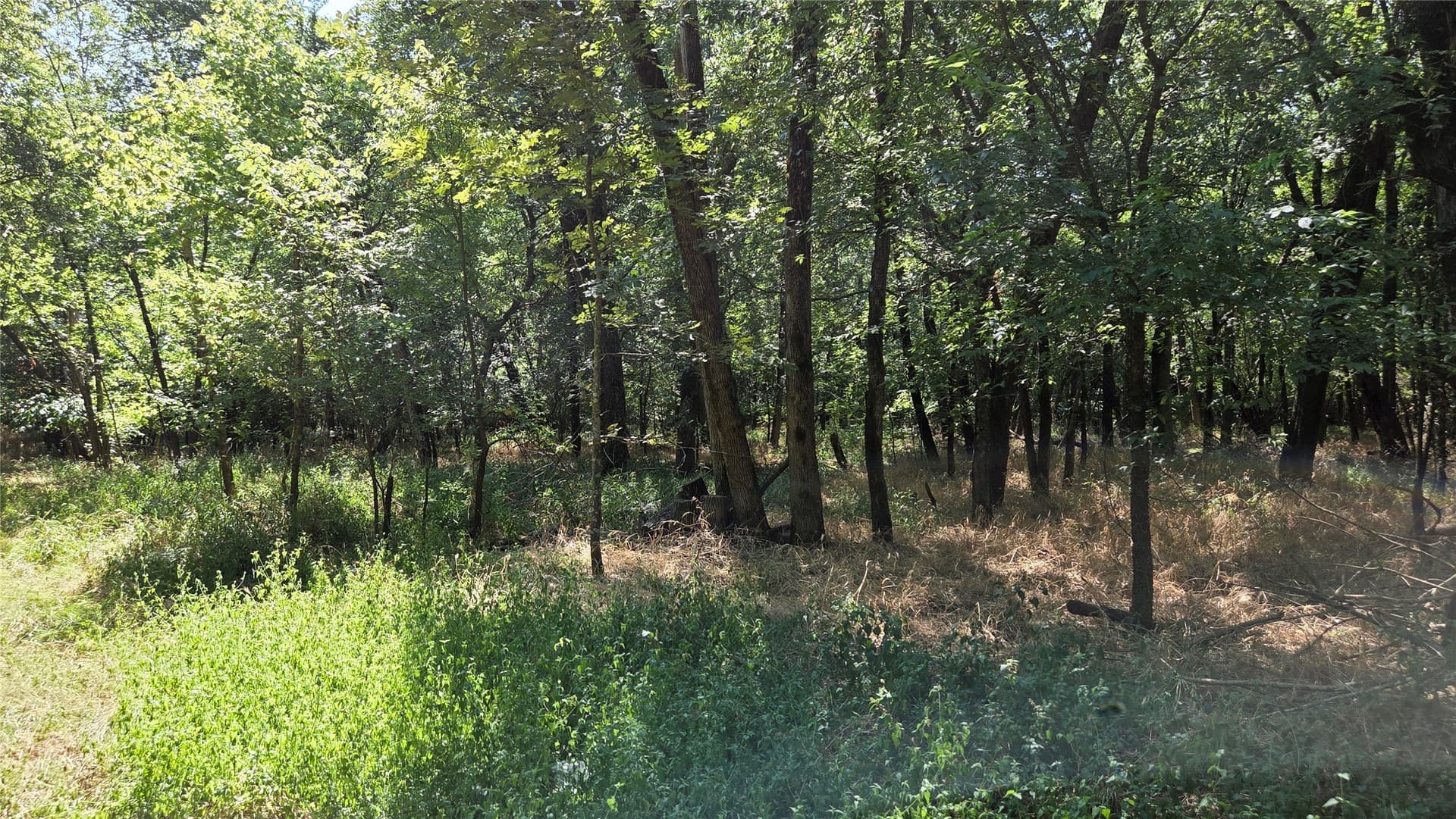 97.17 acres in Hunt County - photo 17