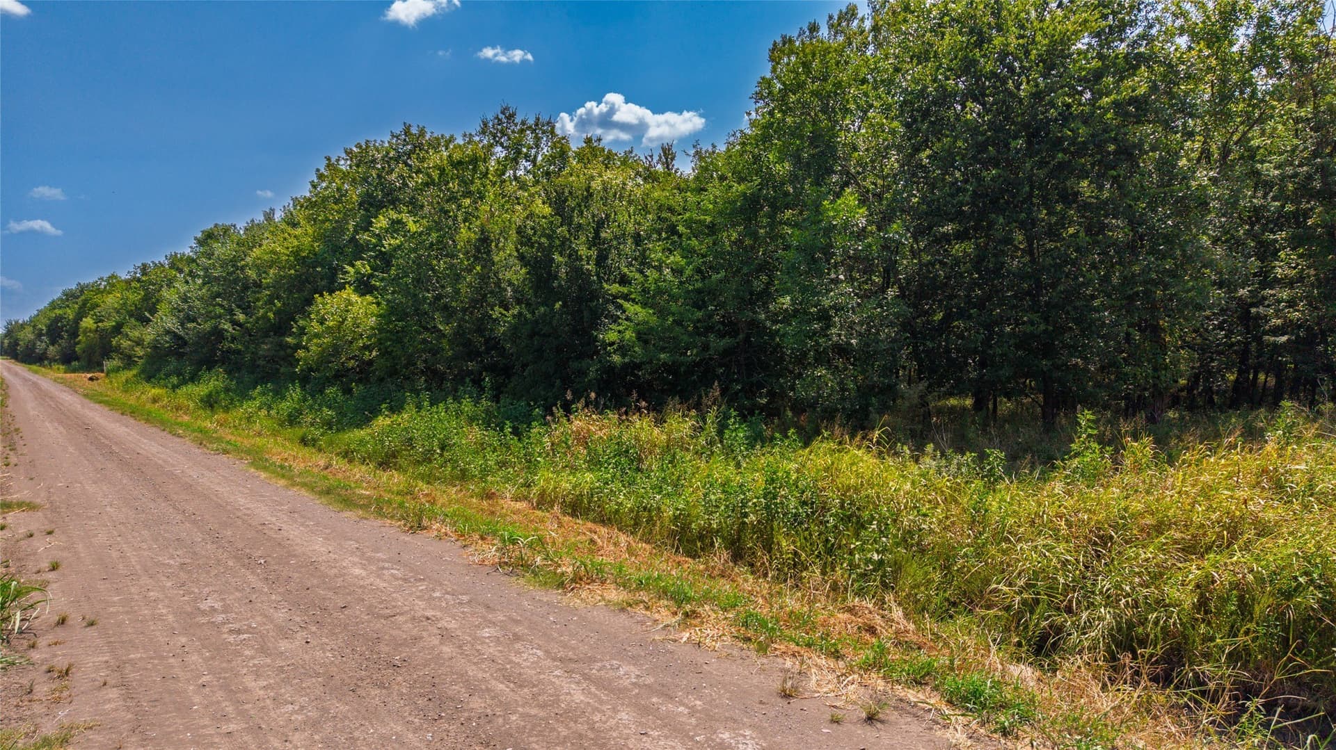 97.17 acres in Hunt County - photo 6