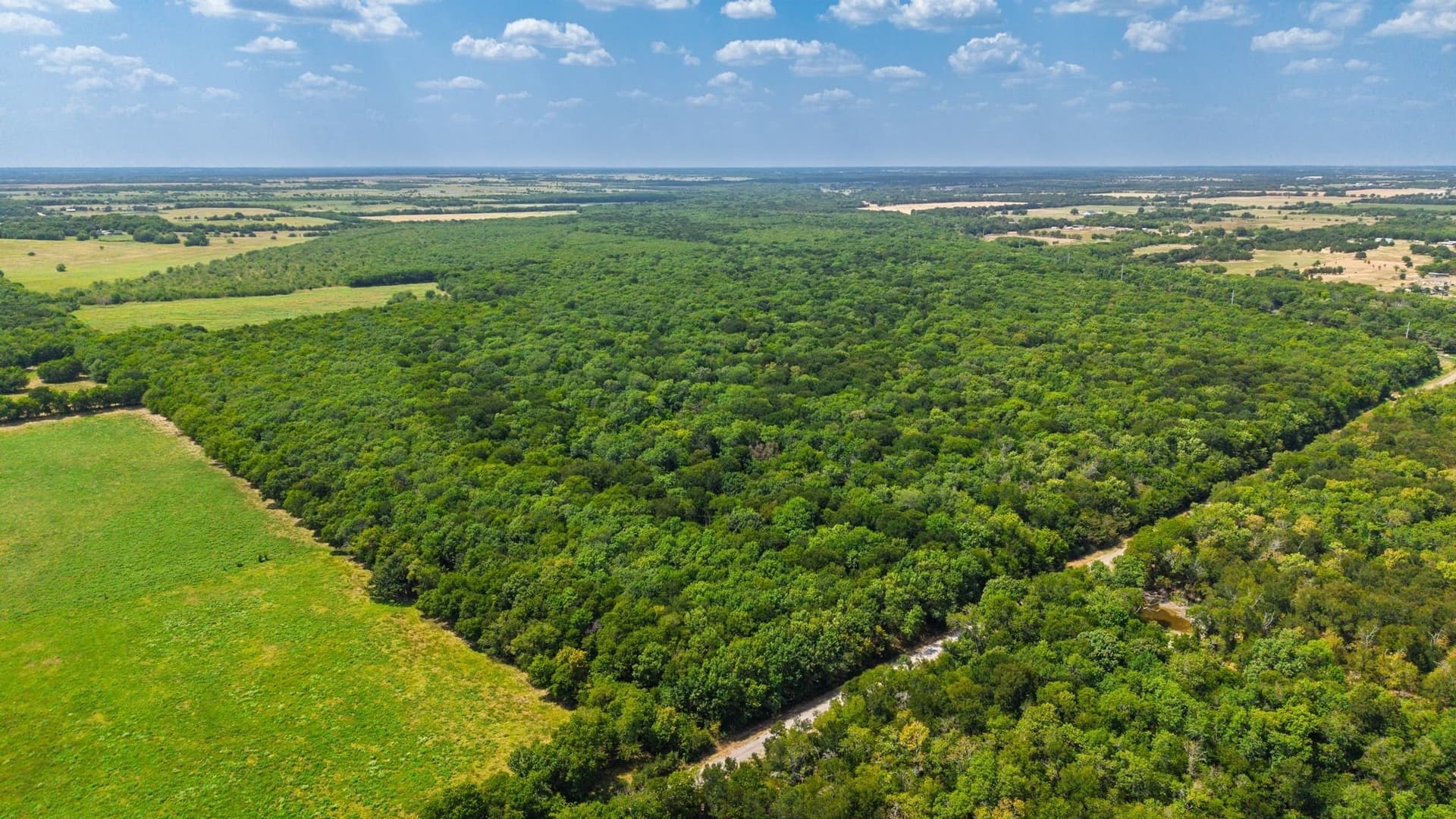 97.17 acres in Hunt County - photo 7
