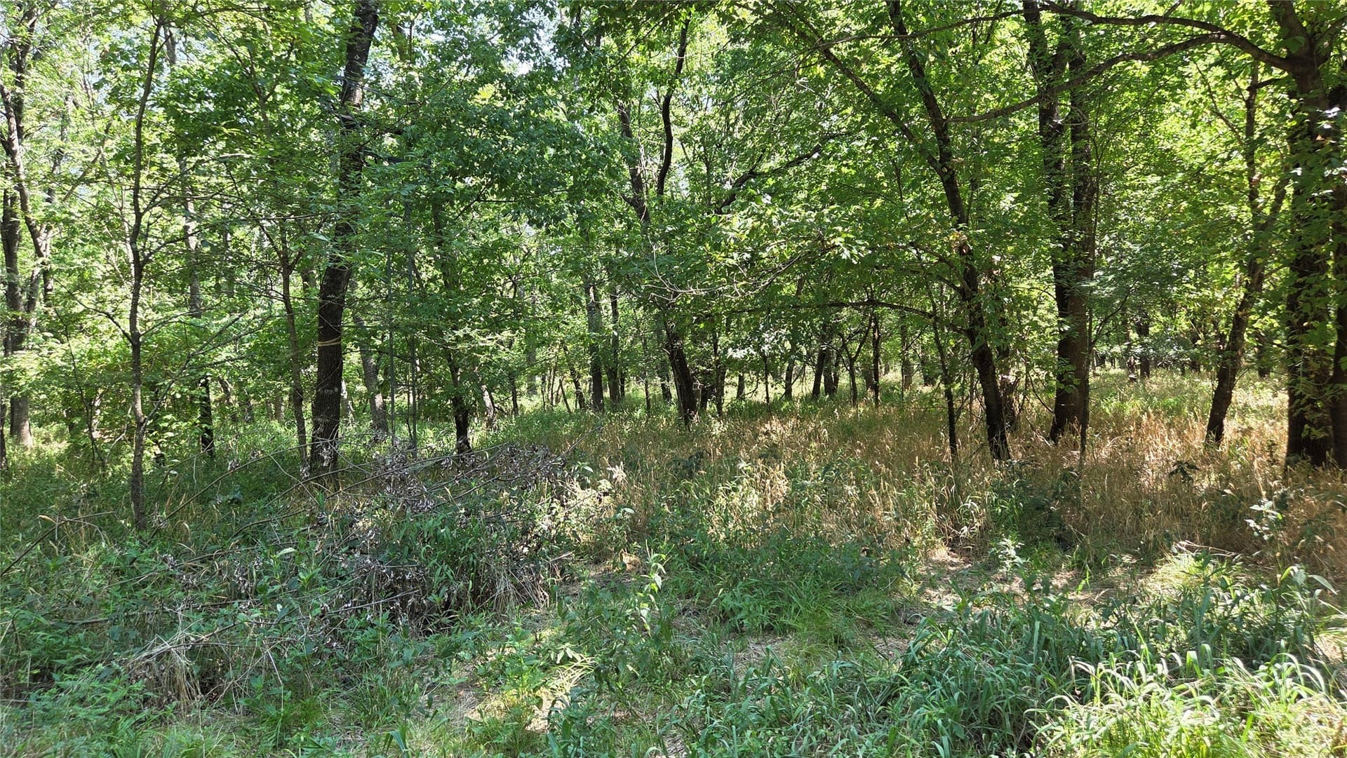 97.17 acres in Hunt County - photo 18
