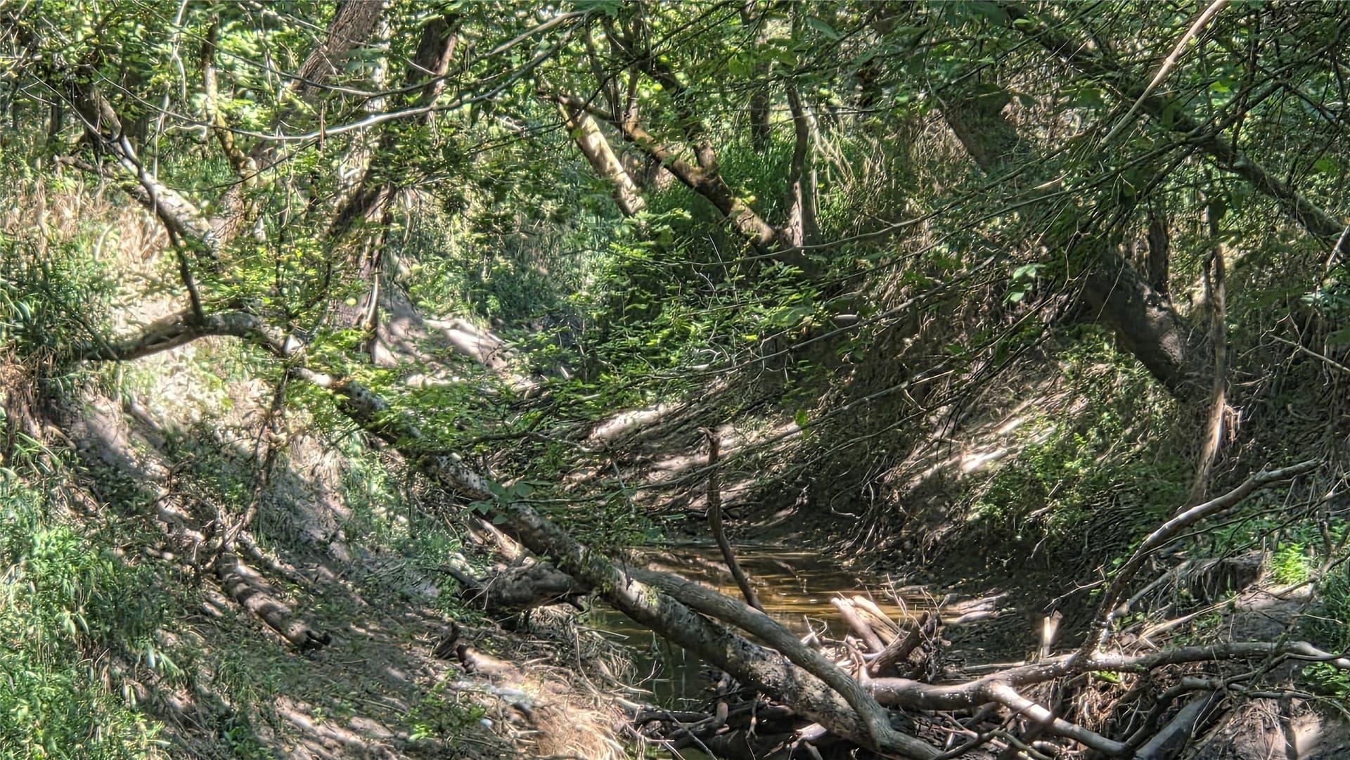 97.17 acres in Hunt County - photo 5