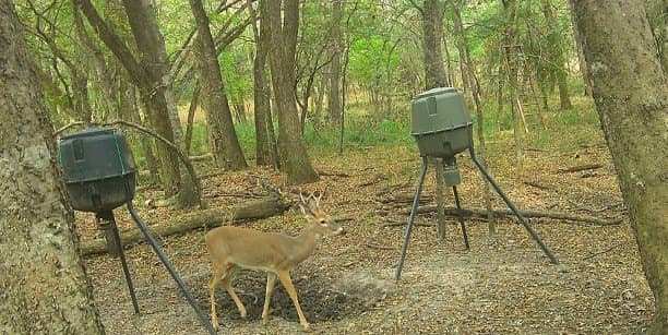 97.17 acres in Hunt County - photo 3