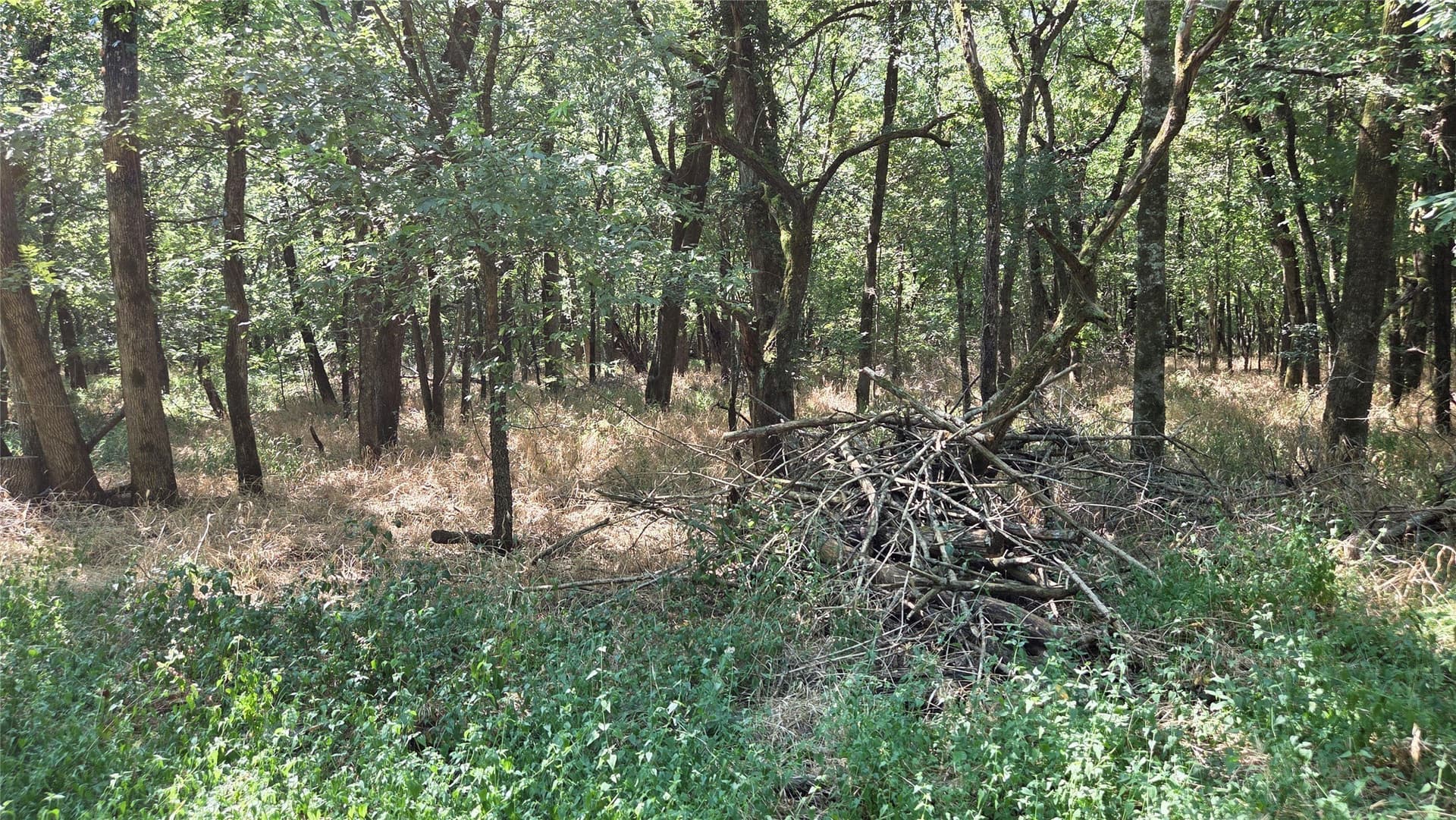 97.17 acres in Hunt County - photo 15