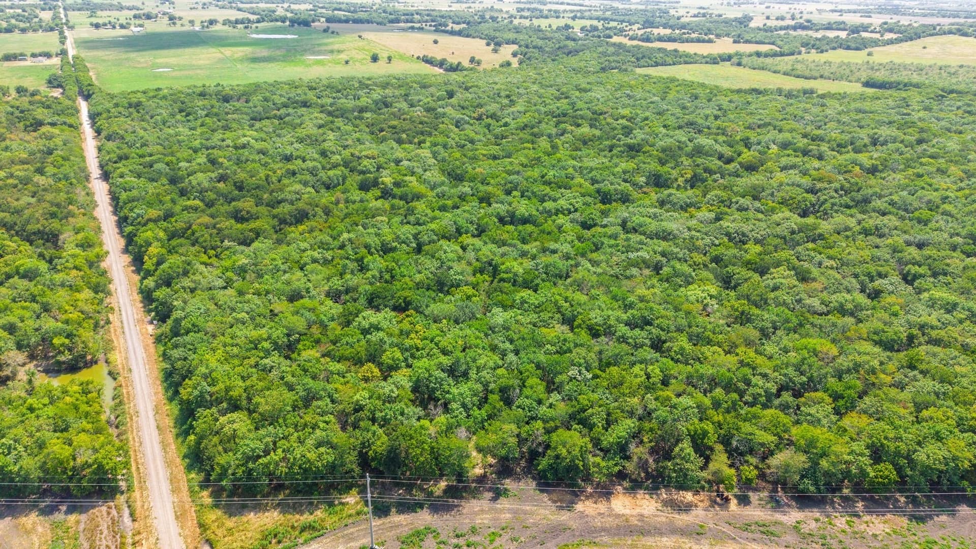 97.17 acres in Hunt County - photo 16