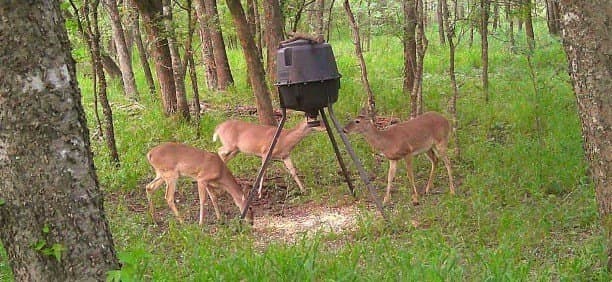 97.17 acres in Hunt County - photo 2