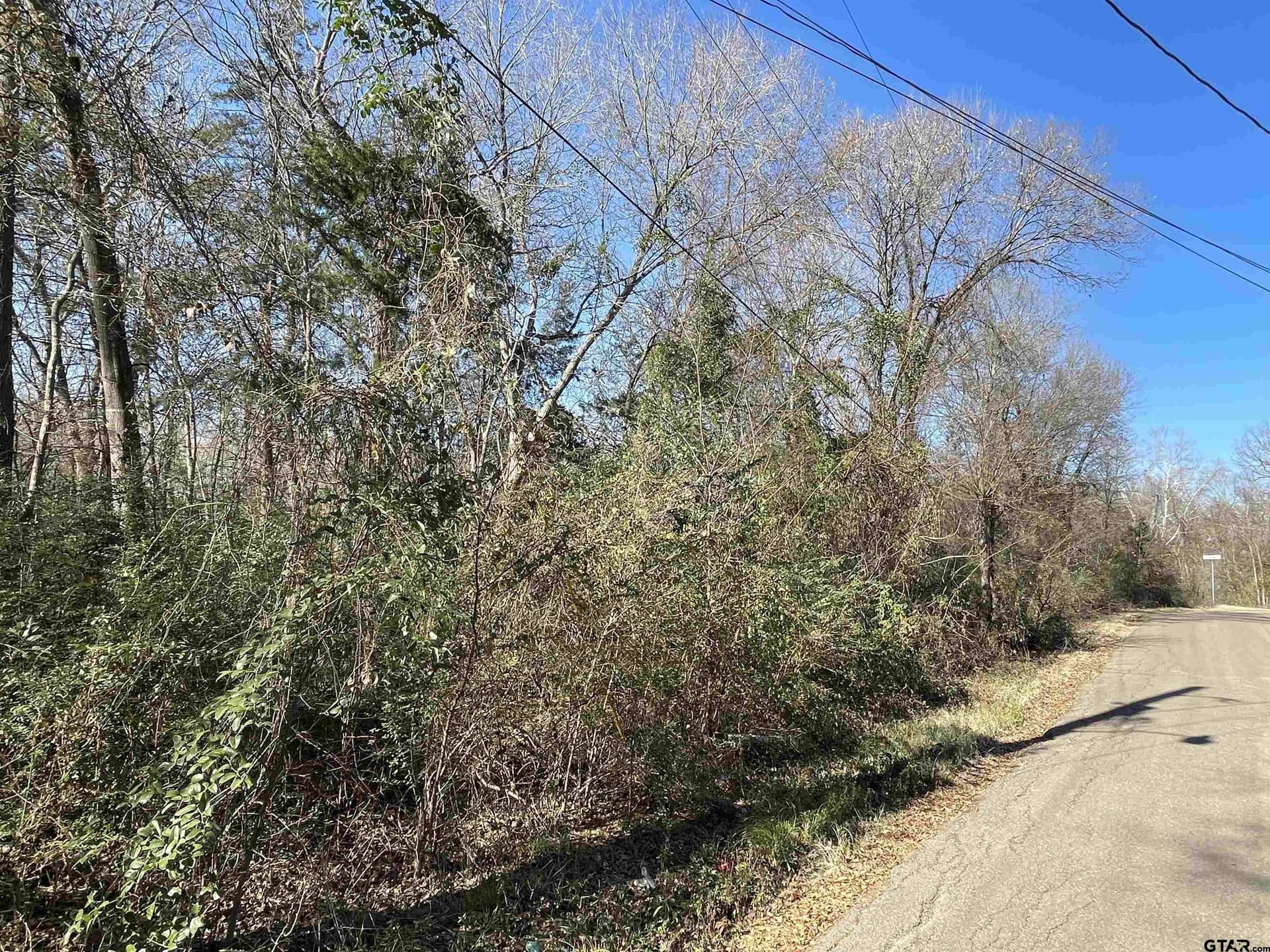 1.26 acres in Titus County gallery image 4