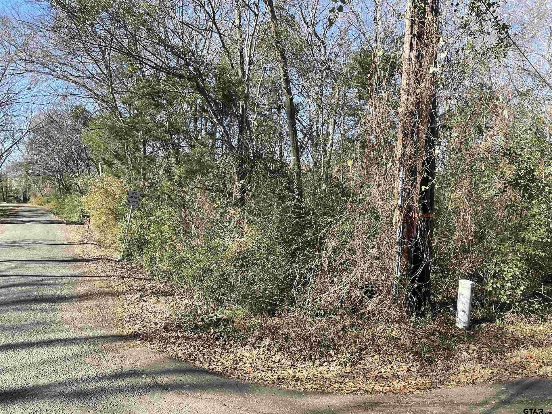 1.26 acres in Titus County gallery image 3
